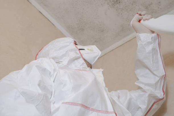 Best Mold Removal and Inspection  in Vonore, TN