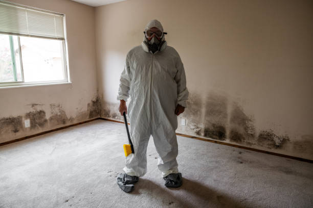 Best Toxic Mold Removal  in Vonore, TN